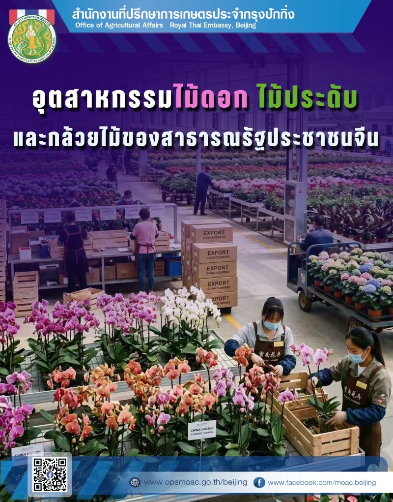 ข้อมูลอุตสาหกรรมไม้ดอก