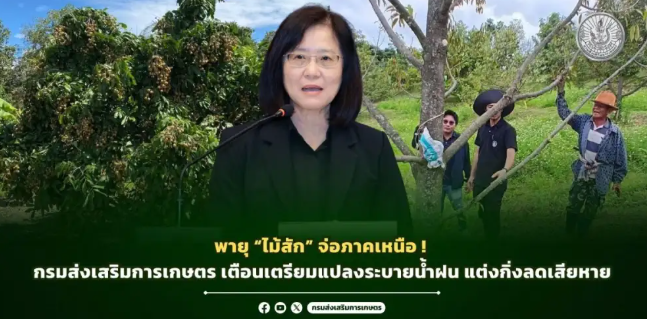 พายุไม้สักจ่อภาคเหนือกรมส่งเสริมการเกษตร