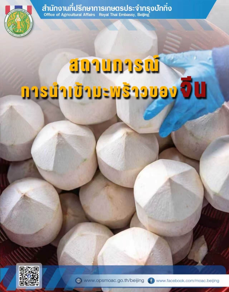 สถานการณ์การนำเข้ามะพร้าวของจีน