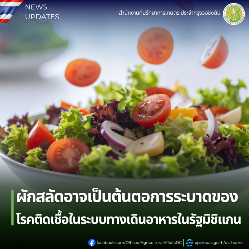 ผักสลัดอาจเป็นต้นตอการระบาดของโรคติดเชื้อในระบบทางเดินอาหารในรัฐมิชิแกน