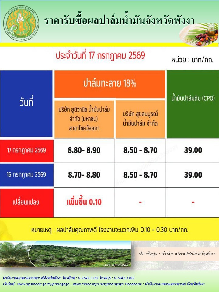 ราคารับซื้อผลปาล์มน้ำมันจังหวัดพังงา