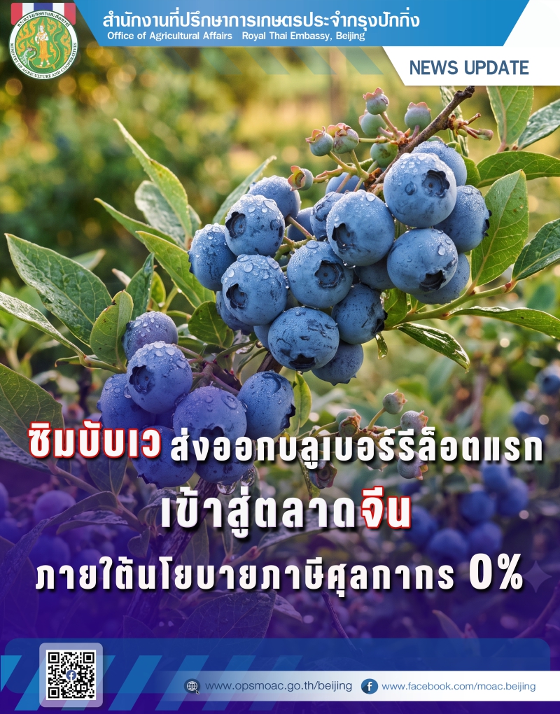 ซิมบับเวส่งออกบลูเบอร์รีล็อตแรกเข้าสู่ตลาดจีน
