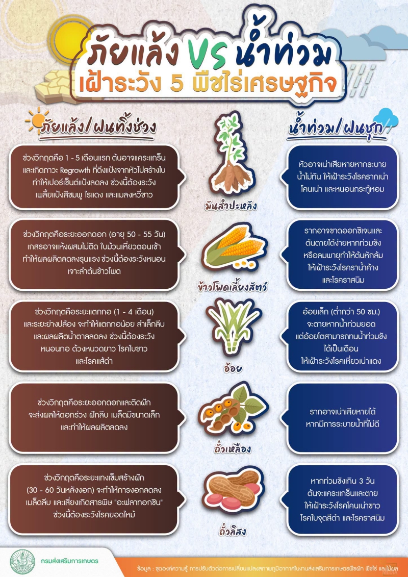 ภัยแล้ง VS น้ำท่วม เฝ้าระวัง 5 พืชไร่เศรษฐกิจ