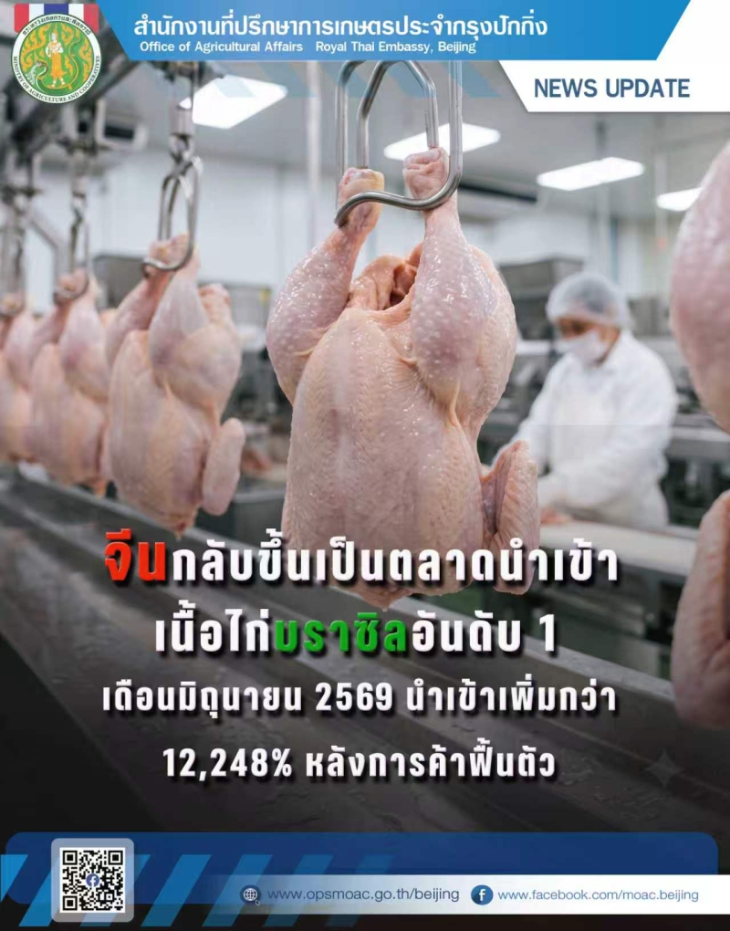 จีนกลับขึ้นเป็นตลาดนำเข้าเนื้อไก่บราซิลอันดับ