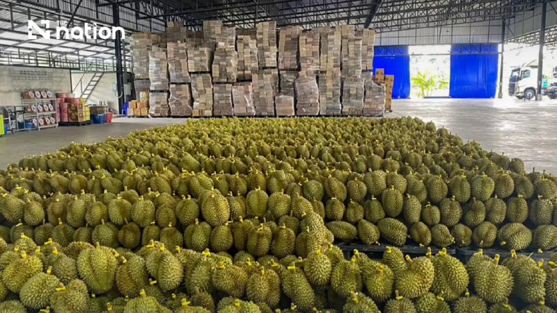 Click for change. Thai fresh durian exports to China exceed THB100bn in first half