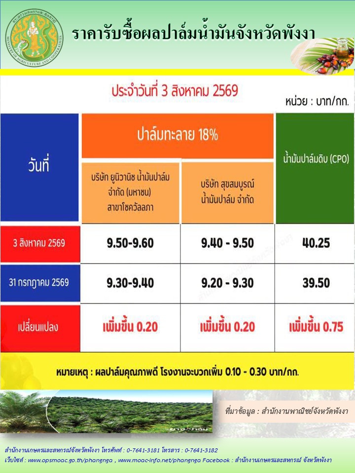 ราคารับซื้อผลปาล์มน้ำมันจังหวัดพังงา
