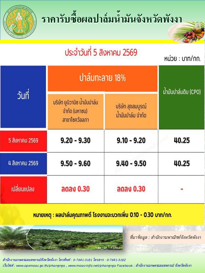 ราคารับซื้อผลปาล์มน้ำมันจังหวัดพังงา