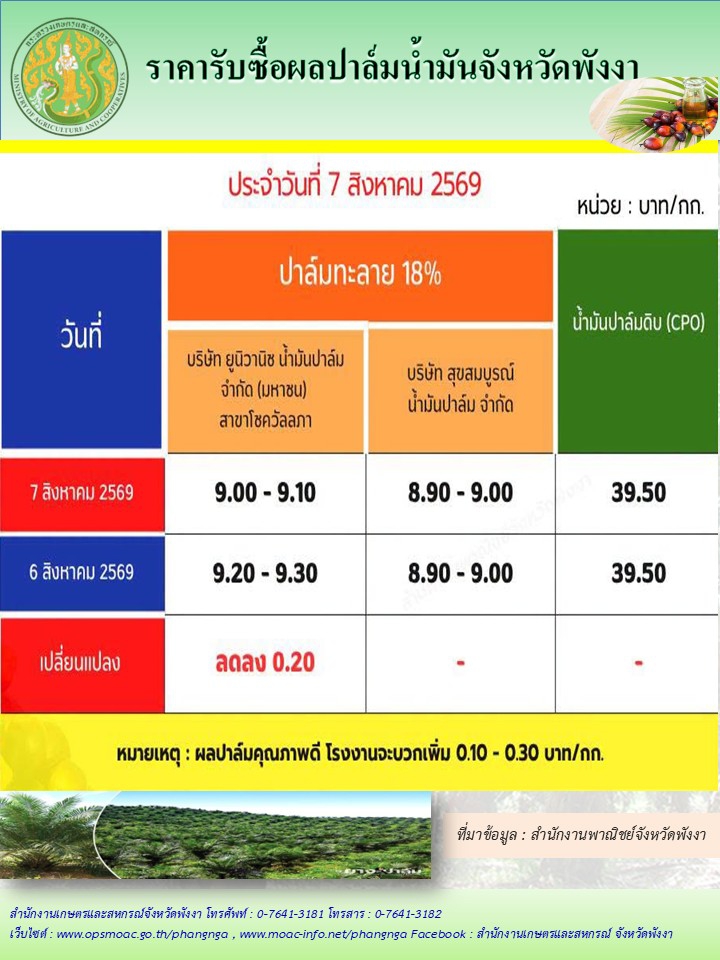 ราคารับซื้อผลปาล์มน้ำมันจังหวัดพังงา