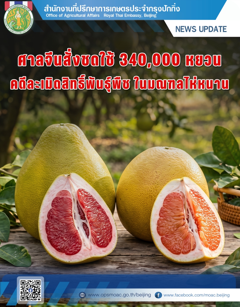 ศาลจีนสั่งชดใช้340,000หยวนคดีละเมิดสิทธิพันธุ์พืช