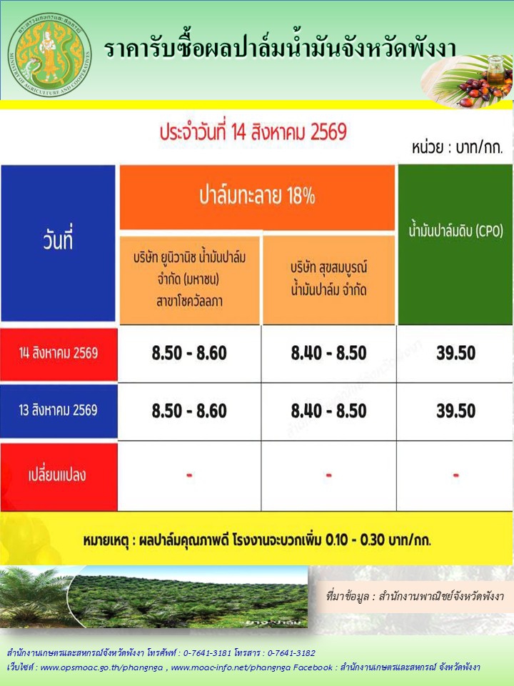 ราคารับซื้อผลปาล์มน้ำมันจังหวัดพังงา