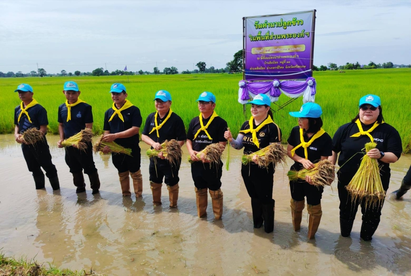 เกษตรและสหกรณ์จังหวัดศรีสะเกษ