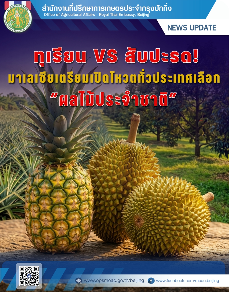 ทุเรียนVSสับปะรด!มาเลเซียเตรียมเปิดโหวตทั่วประเทศ
