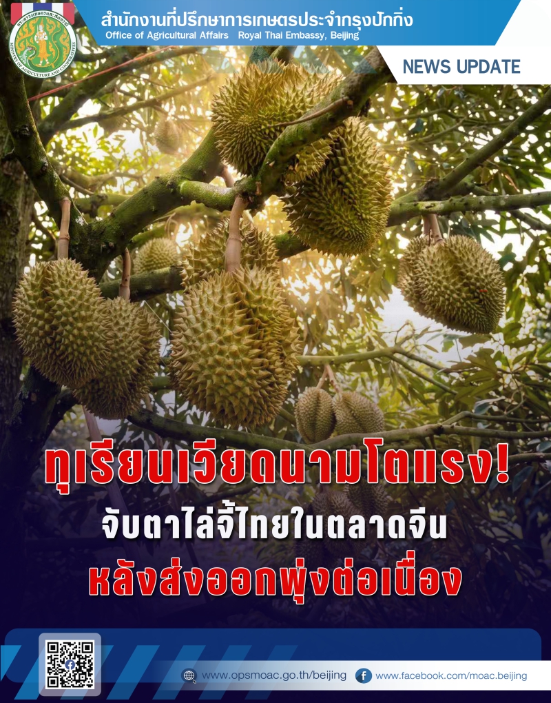 ตลาดทุเรียนในเอเชียตะวันออกเฉียงใต้อาจเปลี่ยนโฉม