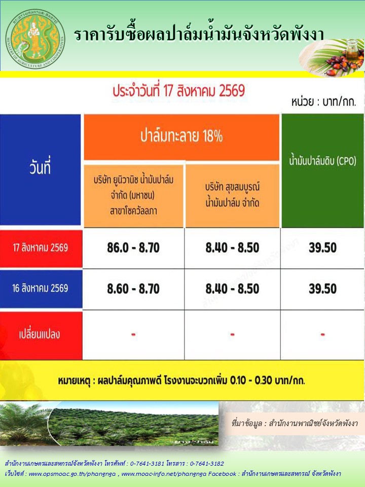ราคารับซื้อผลปาล์มน้ำมันจังหวัดพังงา