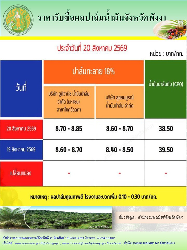 ราคารับซื้อผลปาล์มน้ำมันจังหวัดพังงา