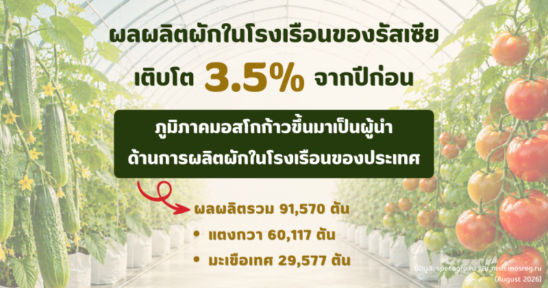 ผลผลิตผักในโรงเรือนของรัสเซียเติบโตเพิ่ม