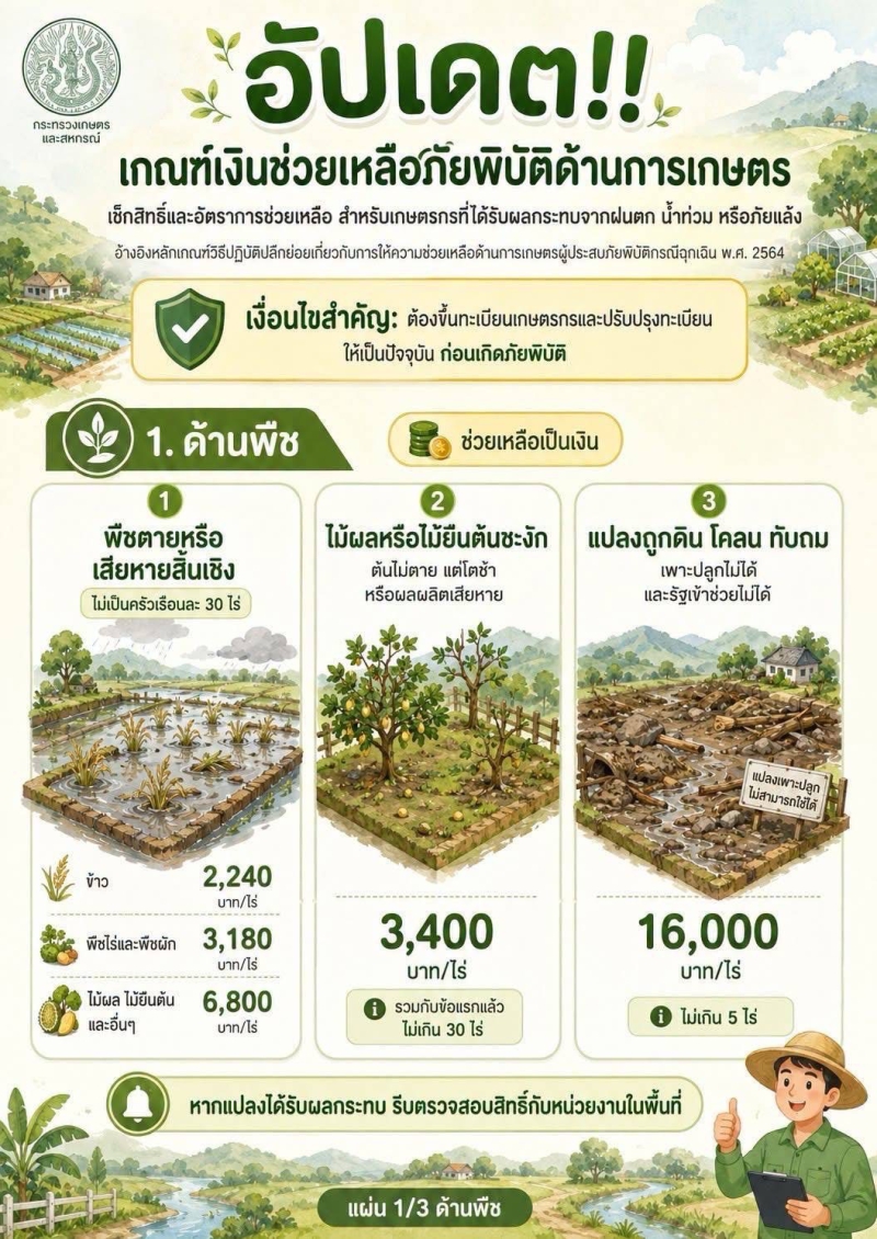 อัปเดต เกณฑ์เงินช่วยเหลือภัยพิบัติด้านการเกษตร