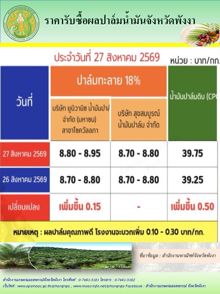 ราคารับซื้อผลปาล์มน้ำมันจังหวัดพังงา