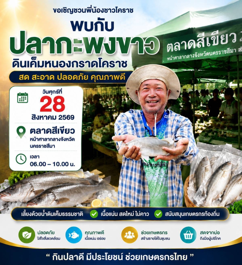 ปลากระพงขาว จากดินเค็มหนองกราดโคราช