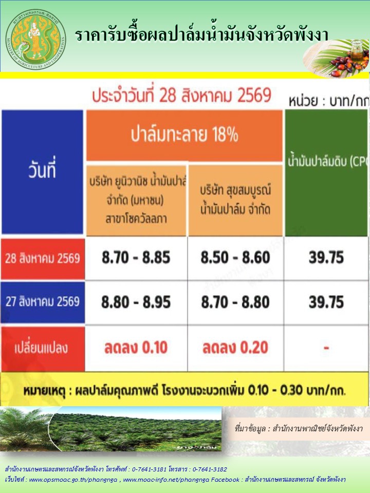 ราคารับซื้อผลปาล์มน้ำมันจังหวัดพังงา