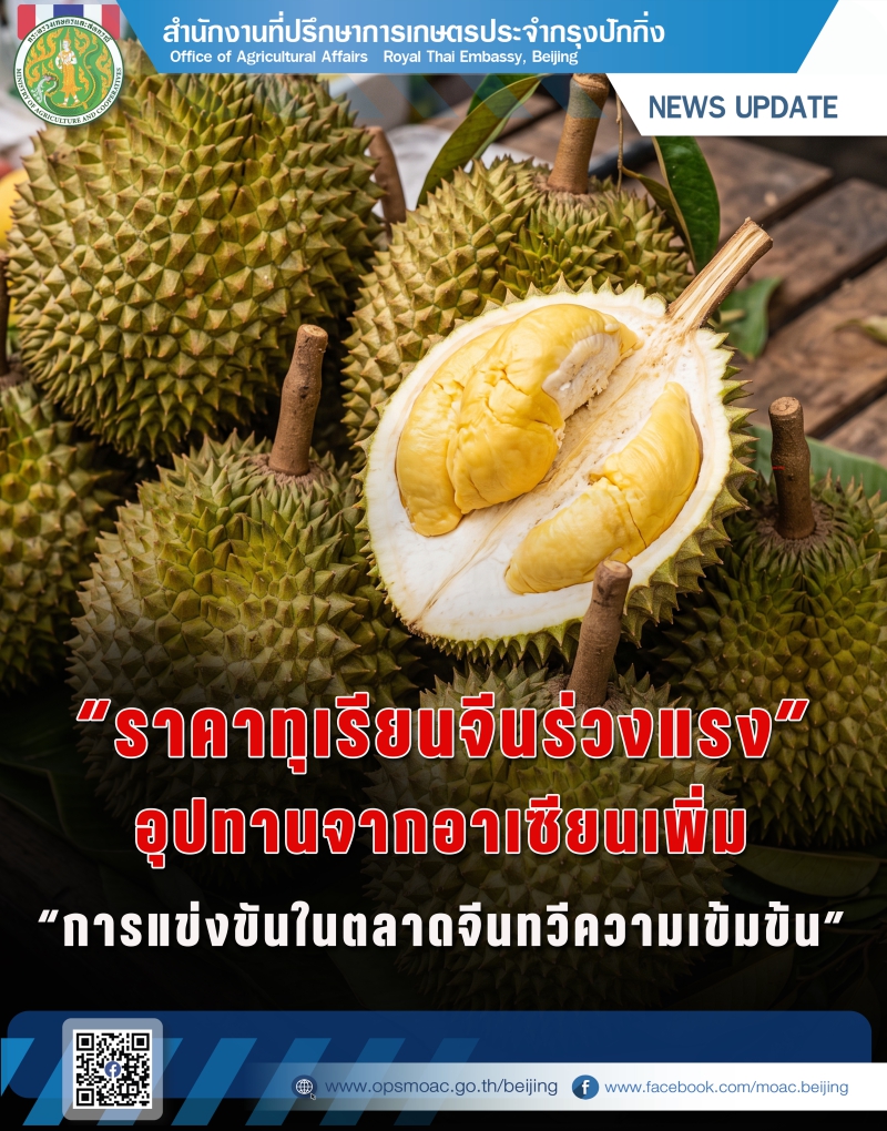 “ราคาทุเรียนจีนร่วงแรง