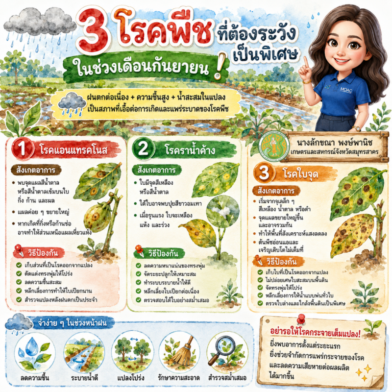 3 โรคพืชที่ต้องระวังเป็นพิเศษในช่วงเดือนกันยายน!