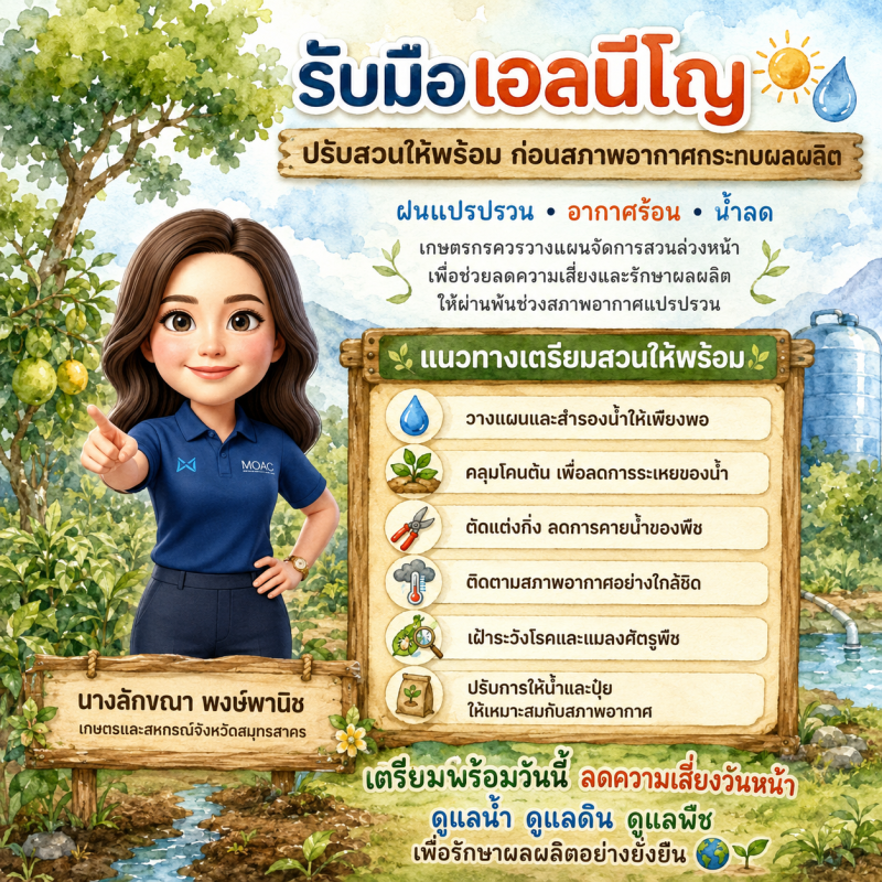 รับมือเอลนีโญปรับสวนให้พร้อมก่อนสภาพอากาศกระทบผลผลิต