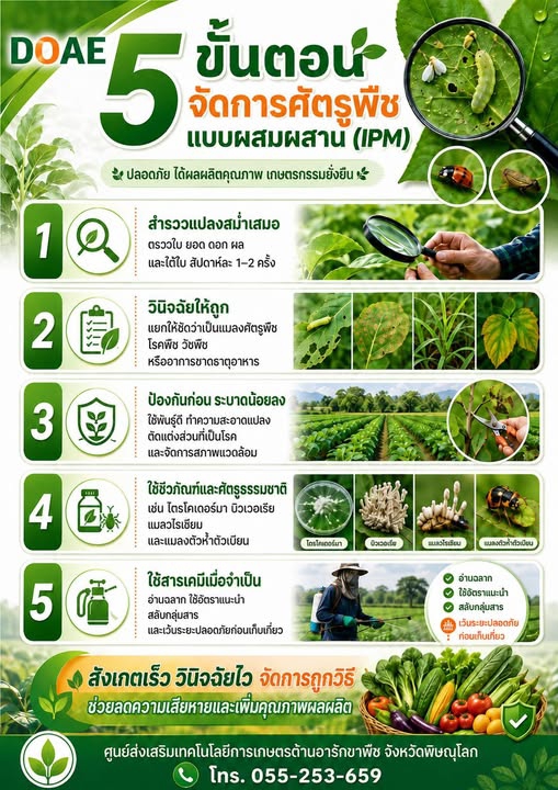 รู้ทันศัตรูพืช จัดการอย่างถูกวิธี ด้วย 5 ขั้นตอน IPM