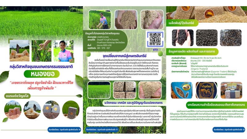 กลุ่มวิสาหกิจชุมชน เกษตรกรรมธรรมชาติหนองยอ