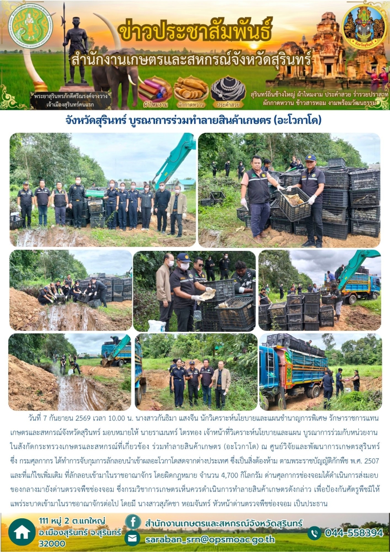จังหวัดสุรินทร์บูรณาการร่วมทำลายสินค้าเกษตร