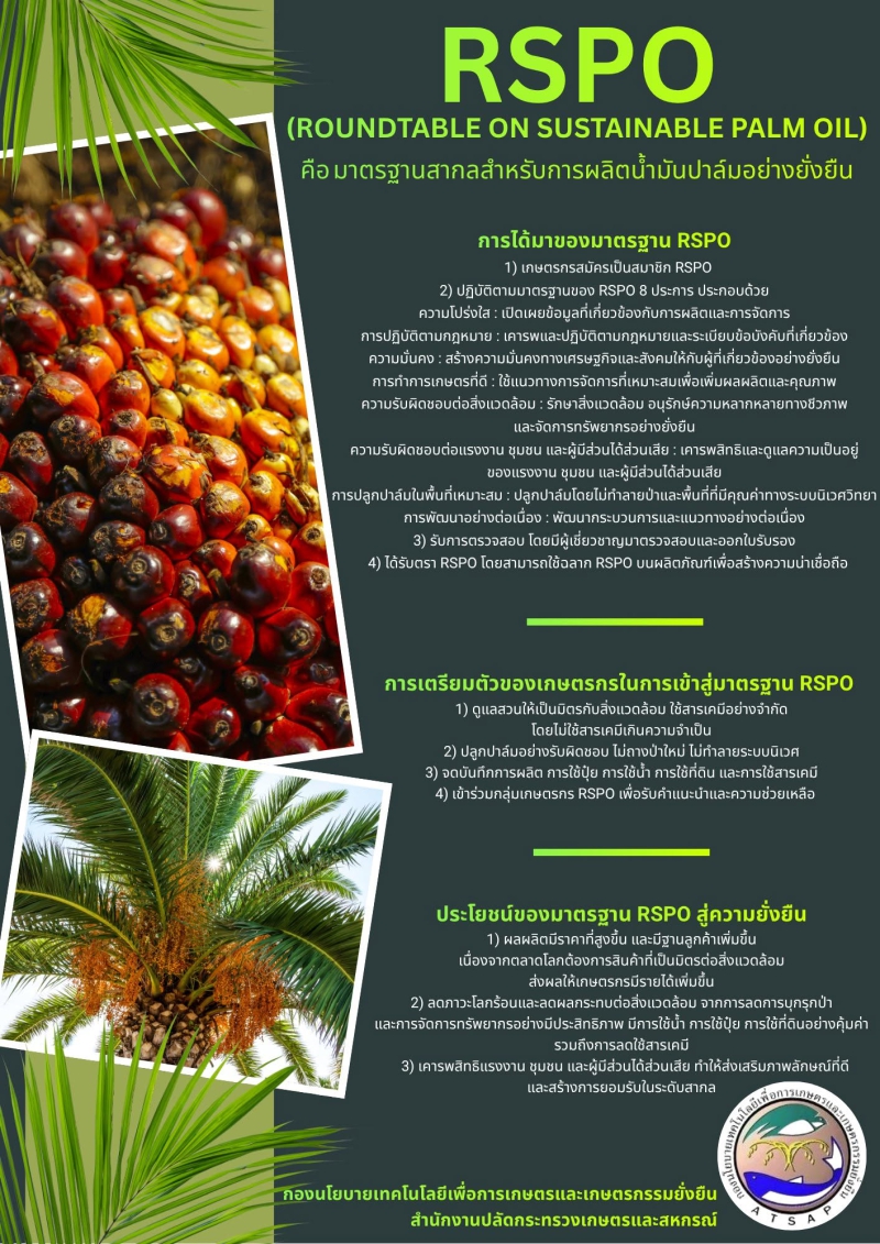 มาตรฐาน RSPO (Roundtable on Sustainable Palm Oil)