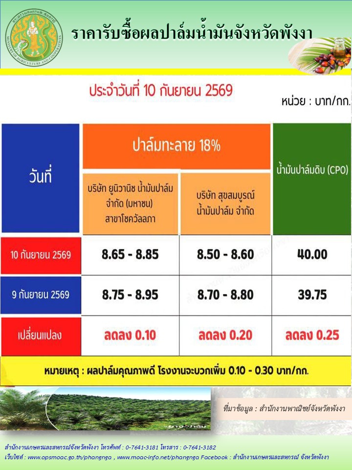 ราคารับซื้อผลปาล์มน้ำมันจังหวัดพังงา