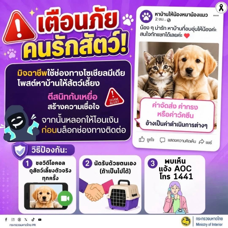 เตือนภัย!!!คนรักสัตว์‼️มิจฉาชีพใช้ช่องทางโซเชียลมีเดียโพสต์หาบ้านให้สัตว์เลี้ยง