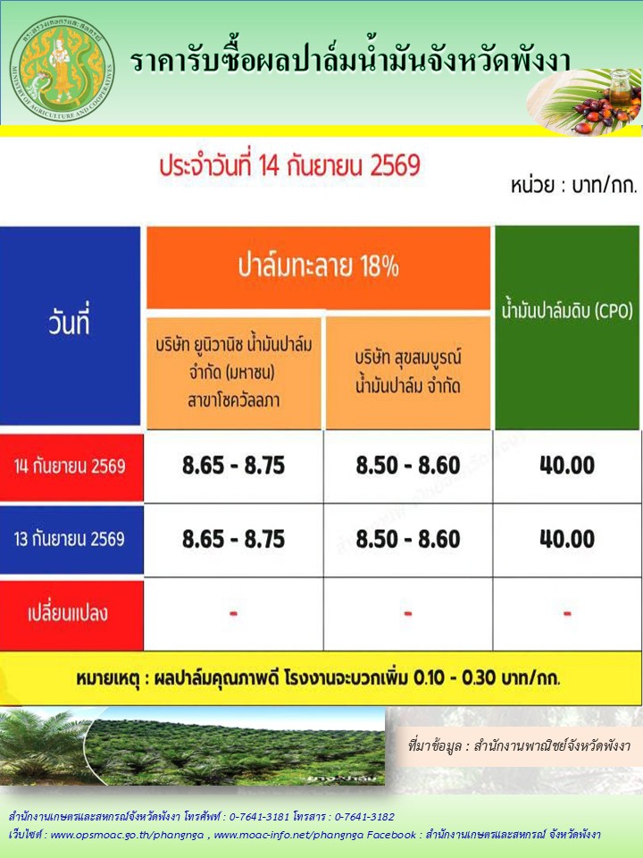 ราคารับซื้อผลปาล์มน้ำมันจังหวัดพังงา