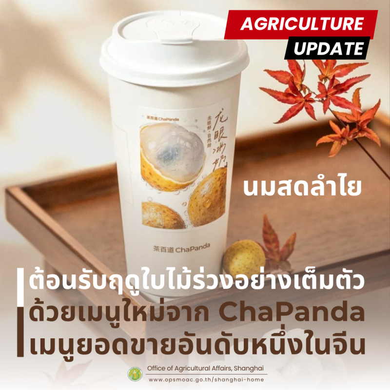 ต้อนรับช่วงไป๋ลู่(น้ำค้างขาว)ด้วยเมนูใหม่จาก