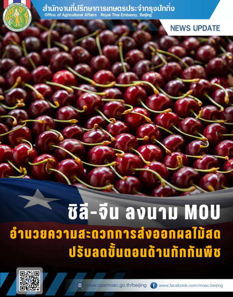 ชิลี–จีนลงนามMOUอำนวยความสะดวกการส่งออกผลไม้สด