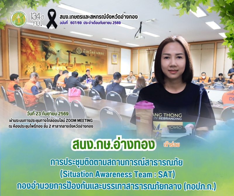 จังหวัดอ่างทองร่วมประชุมติดตามสถานการณ์สาธารณภัย