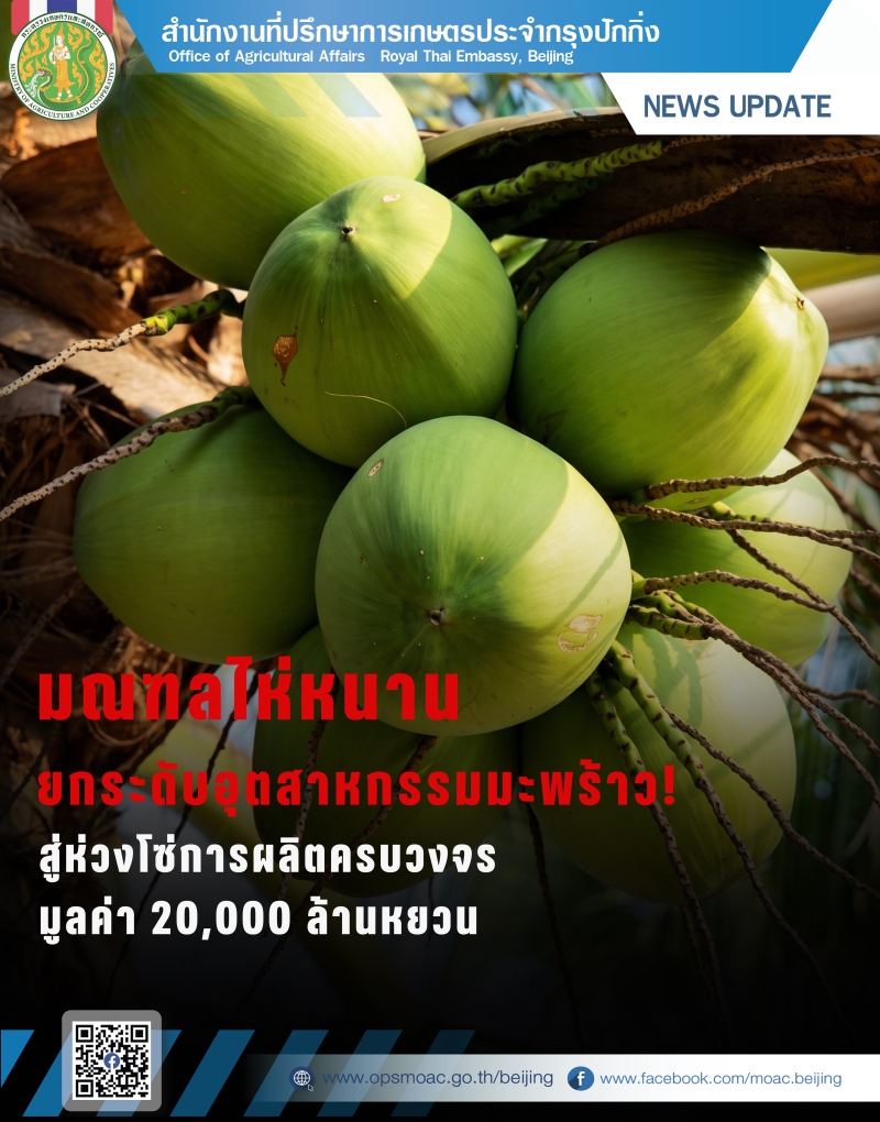 มณฑลไห่หนานยกระดับอุตสาหกรรมมะพร้าว
