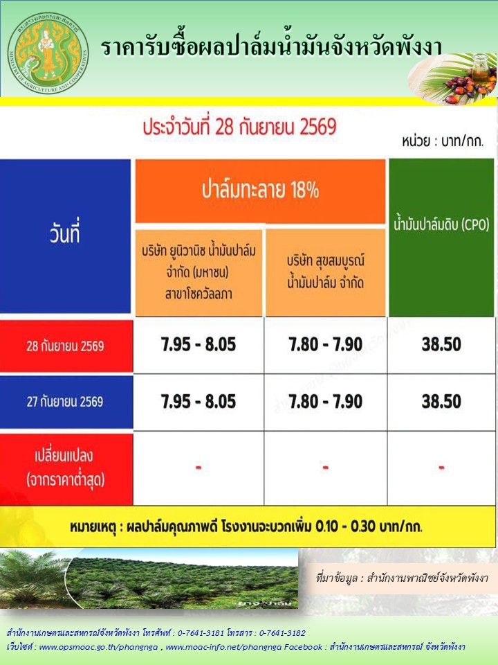 ราคารับซื้อผลปาล์มน้ำมันจังหวัดพังงา