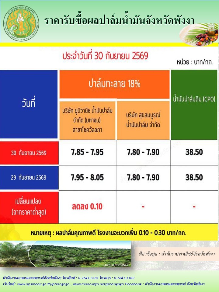 ราคารับซื้อผลปาล์มน้ำมันจังหวัดพังงา