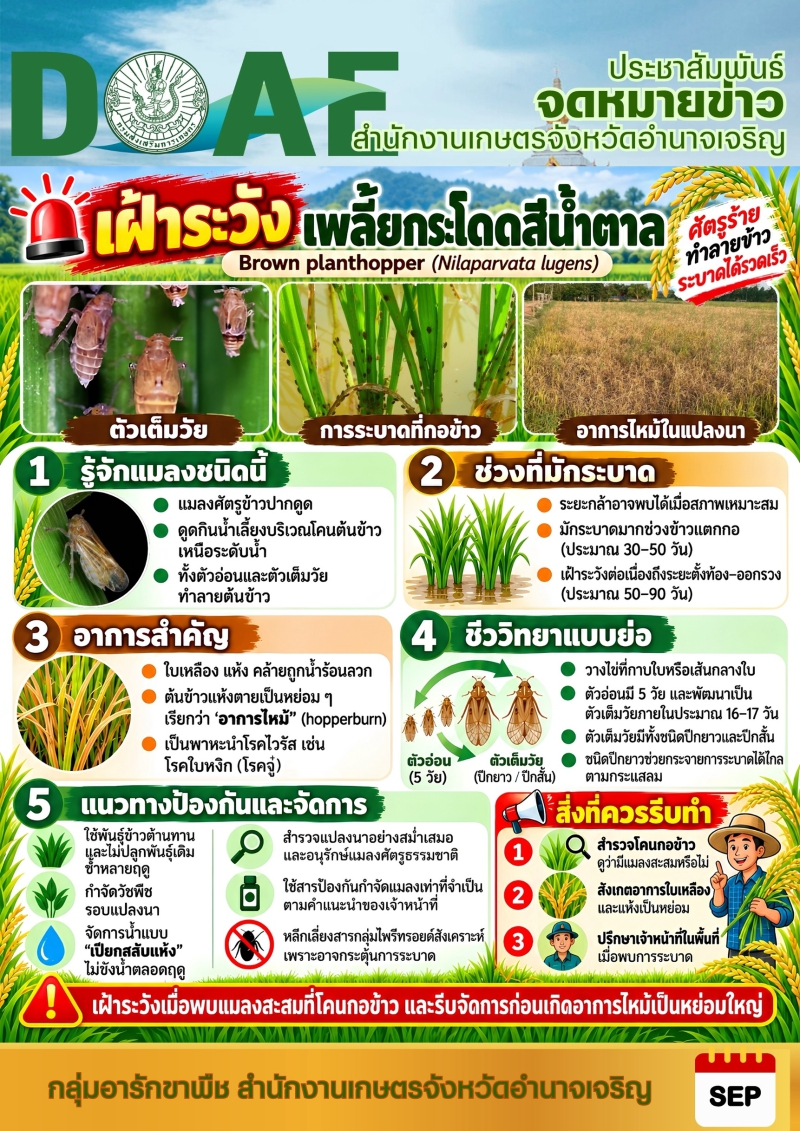 “สำนักงานเกษตรจังหวัดอำนาจเจริญ