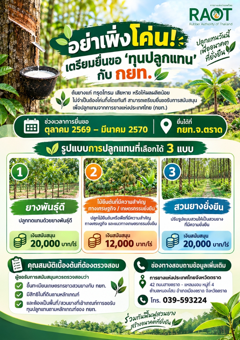 อย่าเพิ่งโค่น เตรียมยื่นขอ ทุนปลูกแทน กับ กยท.
