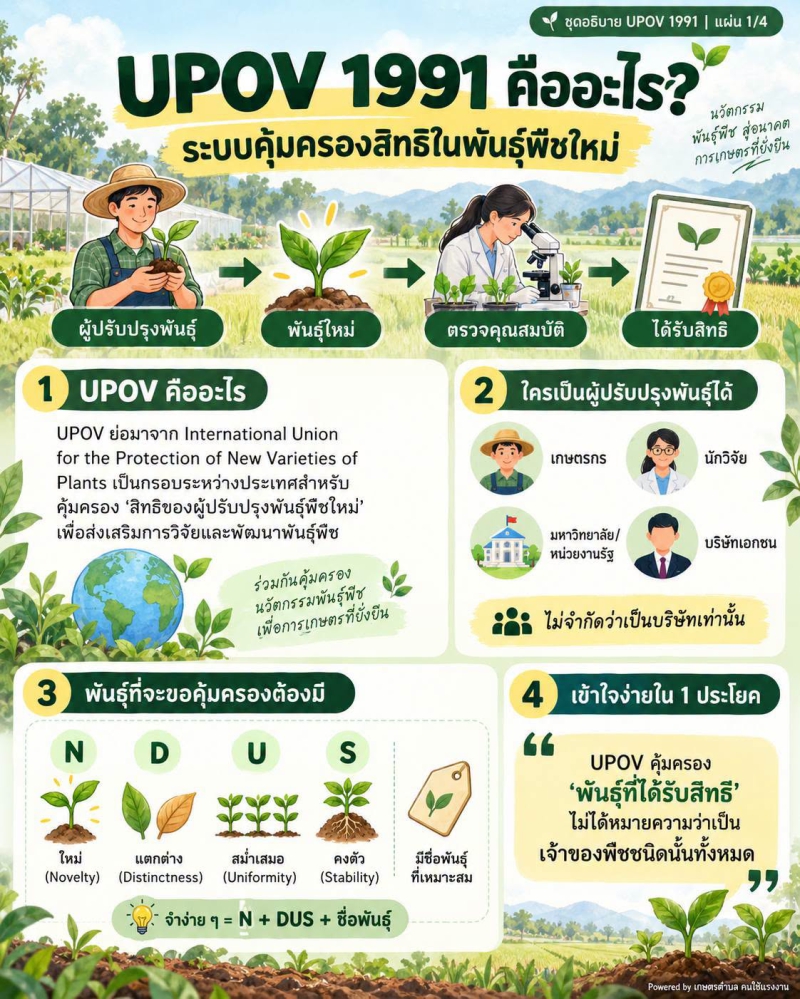 UPOV1991คืออะไรแล้วเกษตรกรจะเก็บเมล็ดพันธุ์ไว้ปลูกต่อได้ไหม?