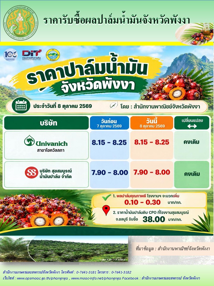ราคารับซื้อผลปาล์มน้ำมันจังหวัดพังงา