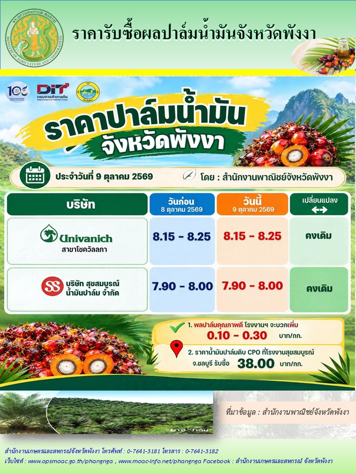 ราคารับซื้อผลปาล์มน้ำมันจังหวัดพังงา