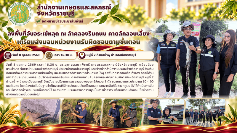 ลงพื้นที่จับจระเข้หลุด
