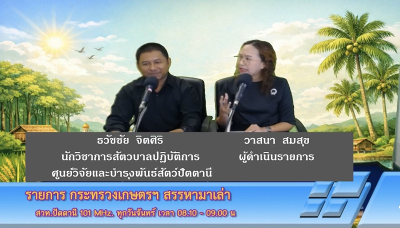 วันจันทร์ที่12ตุลาคม2569สำนักงานเกษตรและสหกรณ์จังหวัดปัตตานี