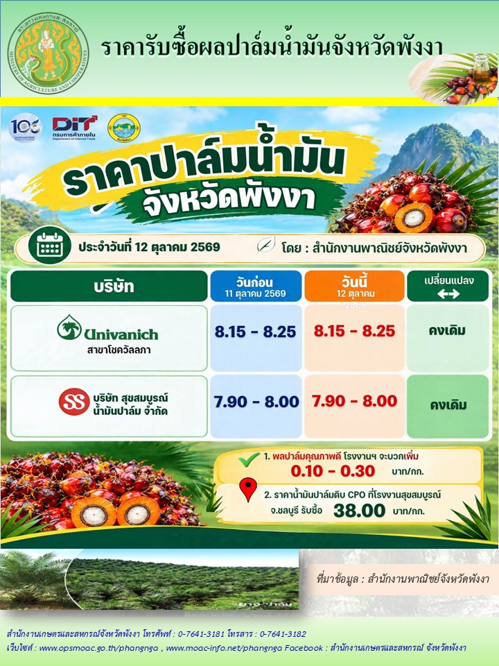 ราคารับซื้อผลปาล์มน้ำมันจังหวัดพังงา