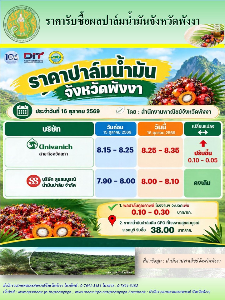 ราคารับซื้อผลปาล์มน้ำมันจังหวัดพังงา