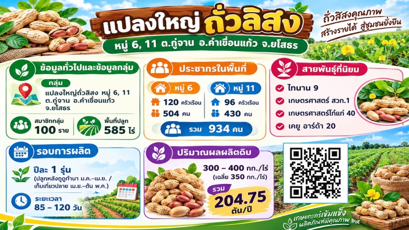กลุ่มแปลงใหญ่ถั่วลิสง